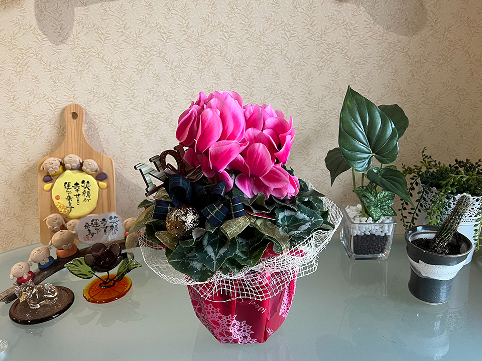 12月の玄関ディスプレイ②